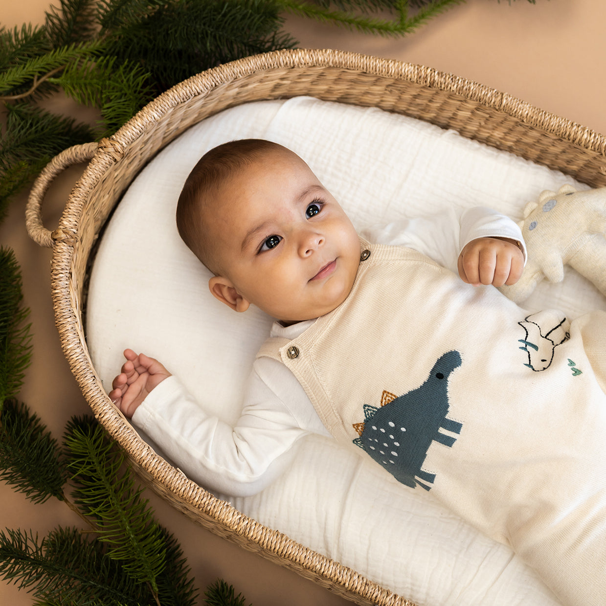 Dino Jacquard Knit Baby Overall Set (Organic)