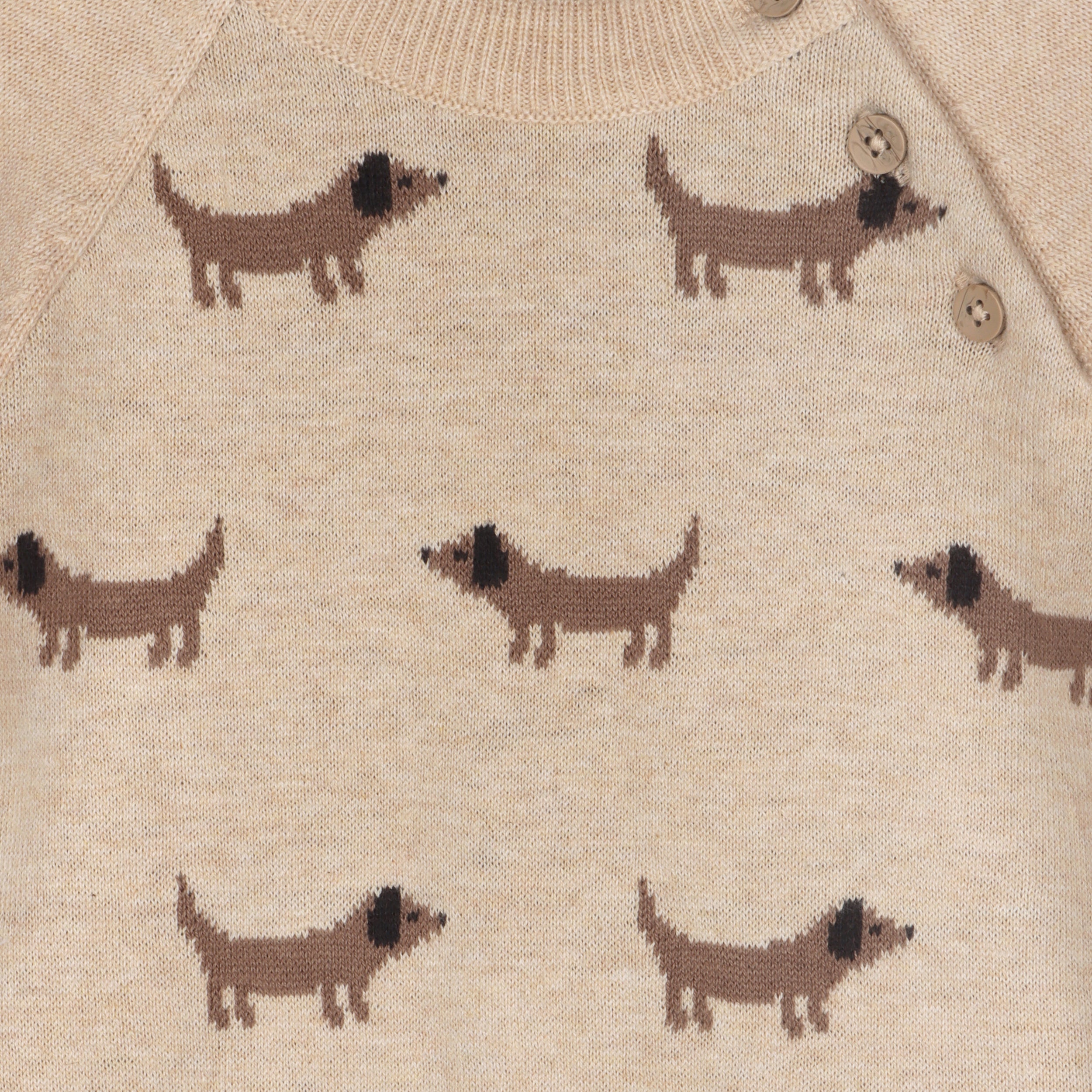 Doxie Dog Jacquard Knit Baby Raglan Pullover Sweater, Organic Cotton