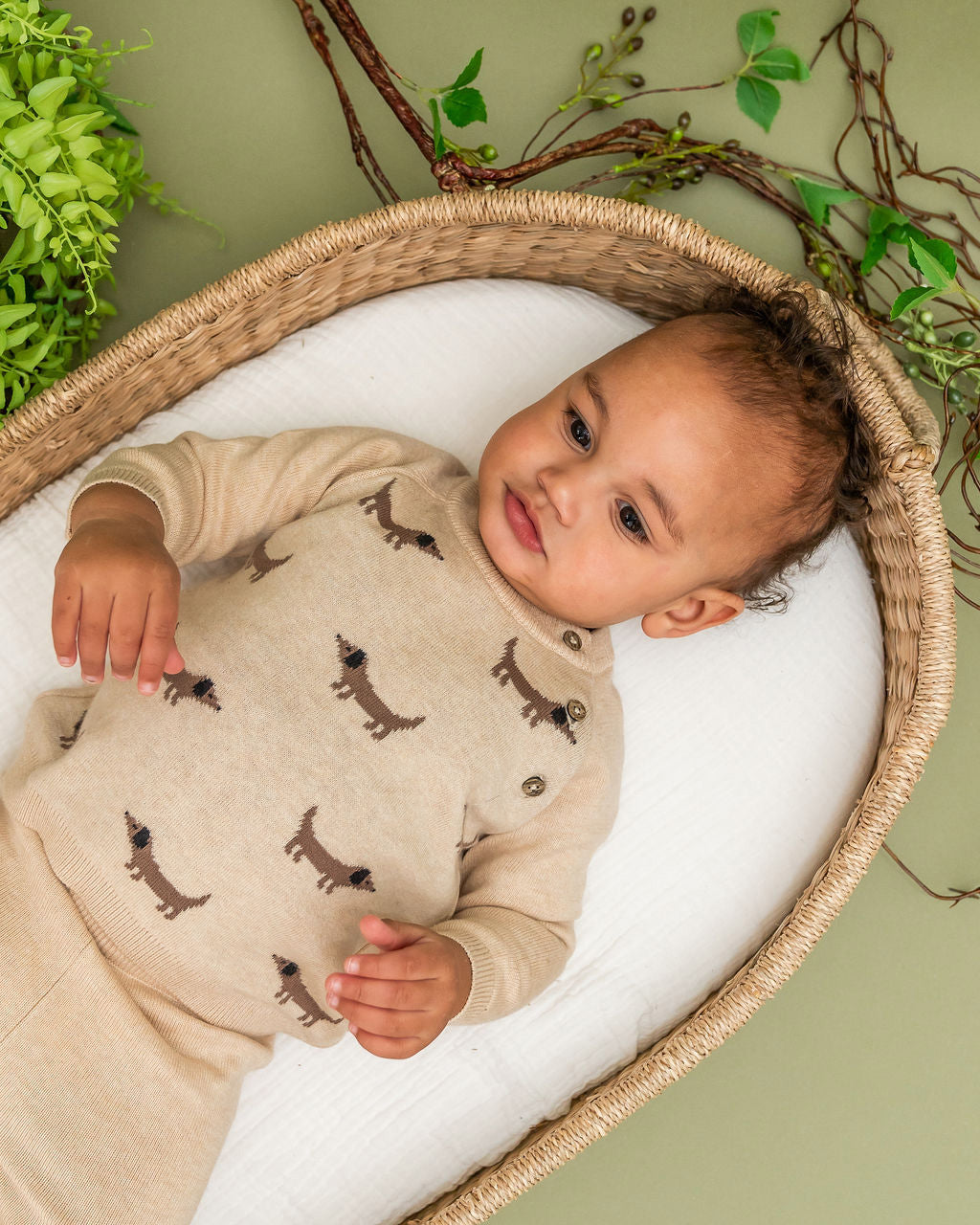 Doxie Dog Jacquard Knit Baby Raglan Pullover Sweater (Organic Cotton)