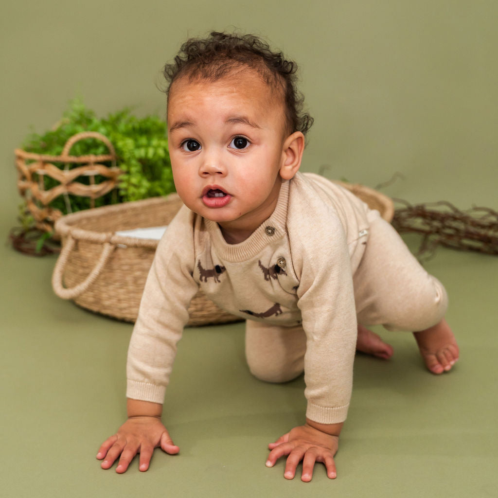 Doxie Dog Jacquard Knit Baby Raglan Pullover Sweater (Organic Cotton)