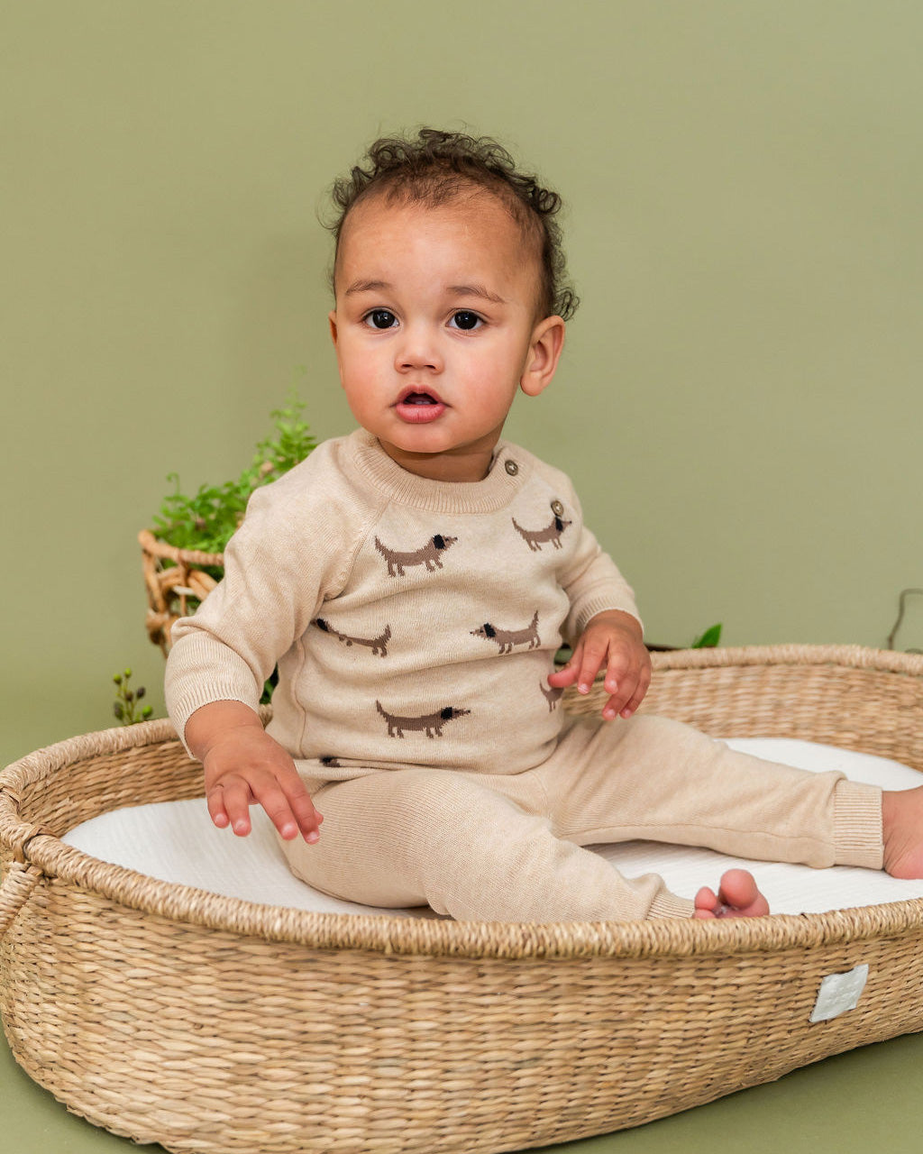 Doxie Dog Jacquard Knit Baby Raglan Pullover Sweater (Organic Cotton)