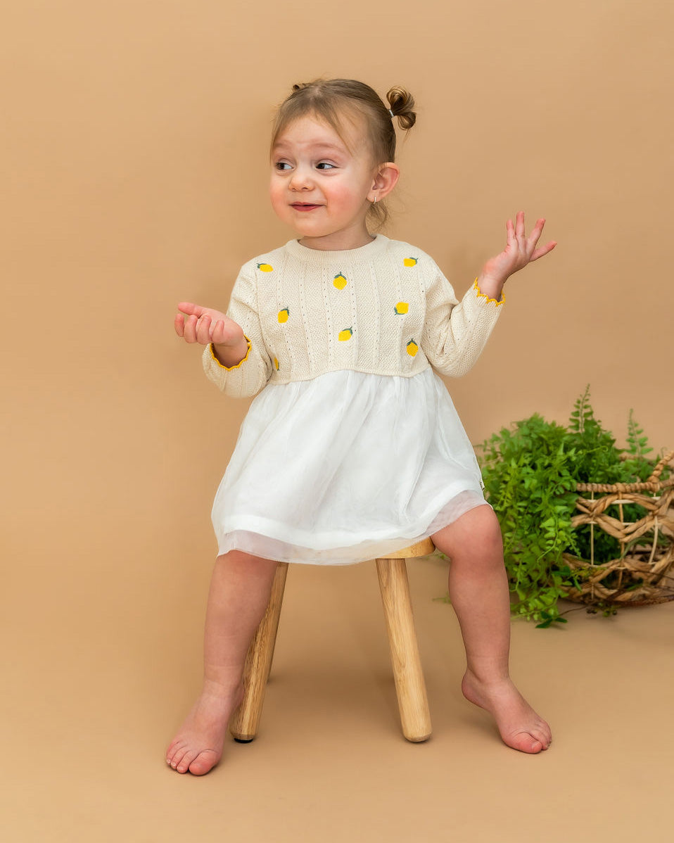 Lemon Embroidered Pointelle Knit Tutu Baby Dress (Organic Cotton), Sweet Cream / 3-6M
