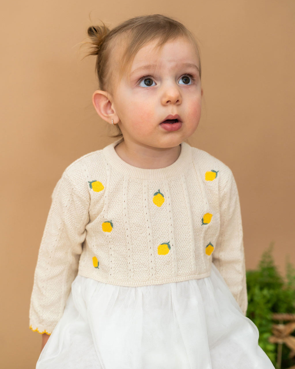 Lemon Embroidered Pointelle Knit Tutu Baby Dress (Organic Cotton)
