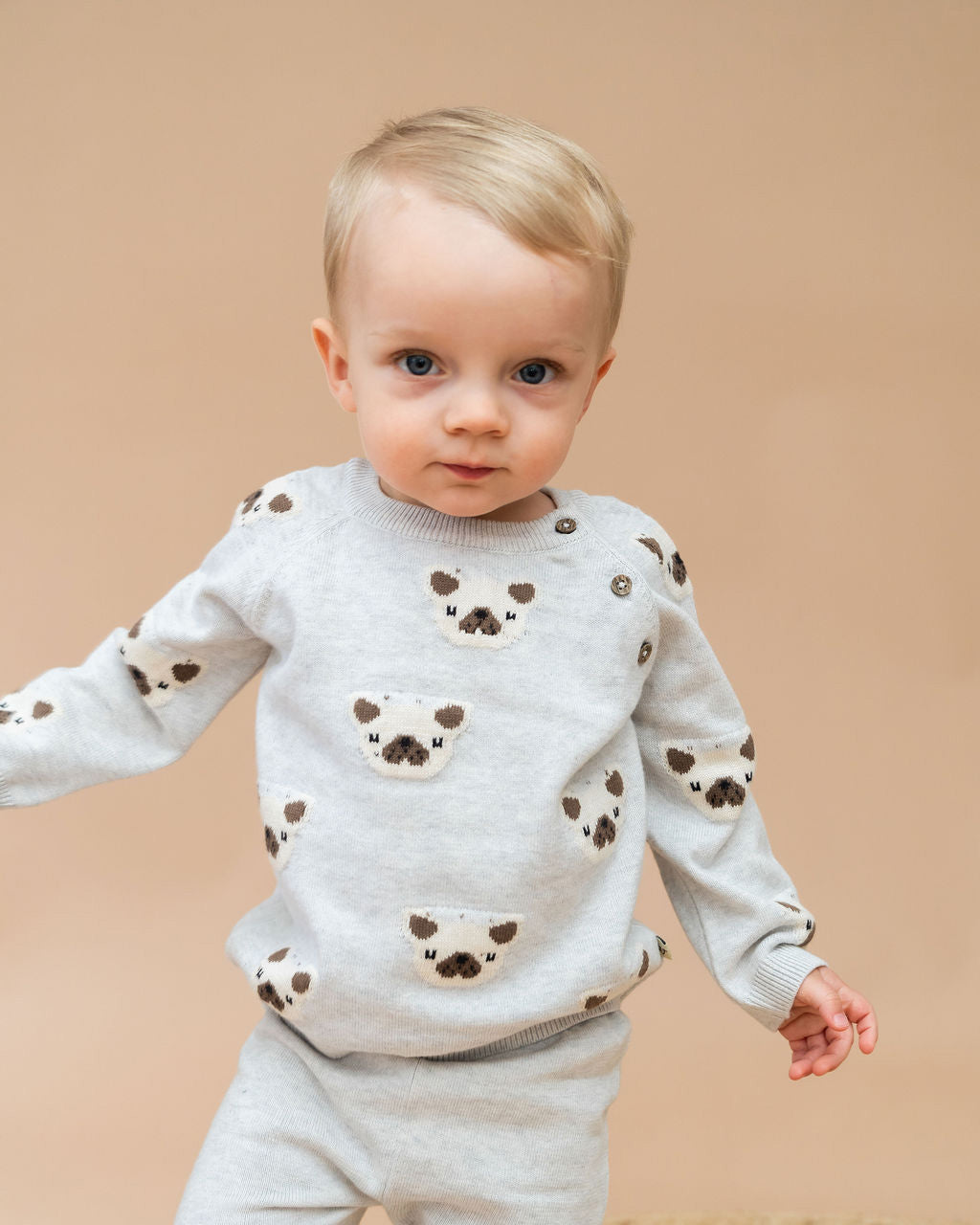 Frenchie Puppy Jacquard Knit Baby Raglan Pullover Sweater + Pant SET (Organic Cotton)