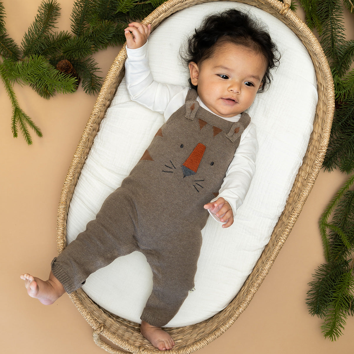 Tiger Jacquard Knit Baby Overall Set (Organic Cotton)