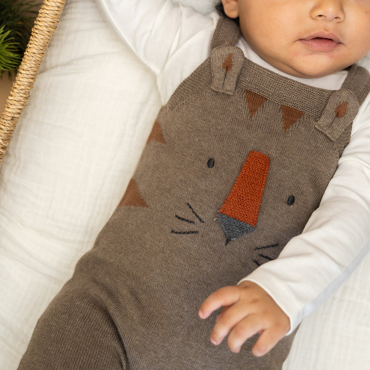 Tiger Jacquard Knit Baby Overall Set (Organic Cotton)