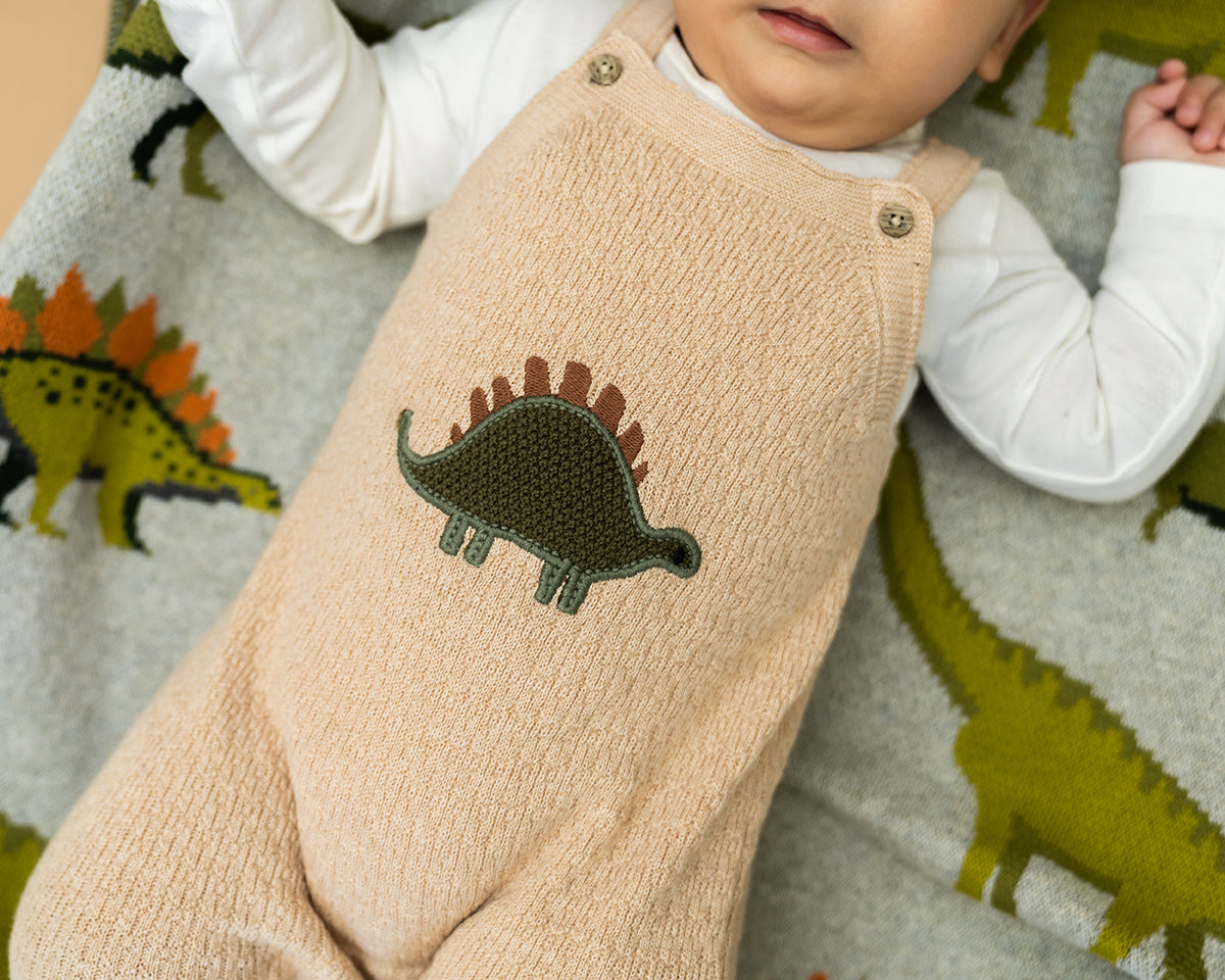 Dino Applique Baby Knit Overall Set (Organic Cotton)