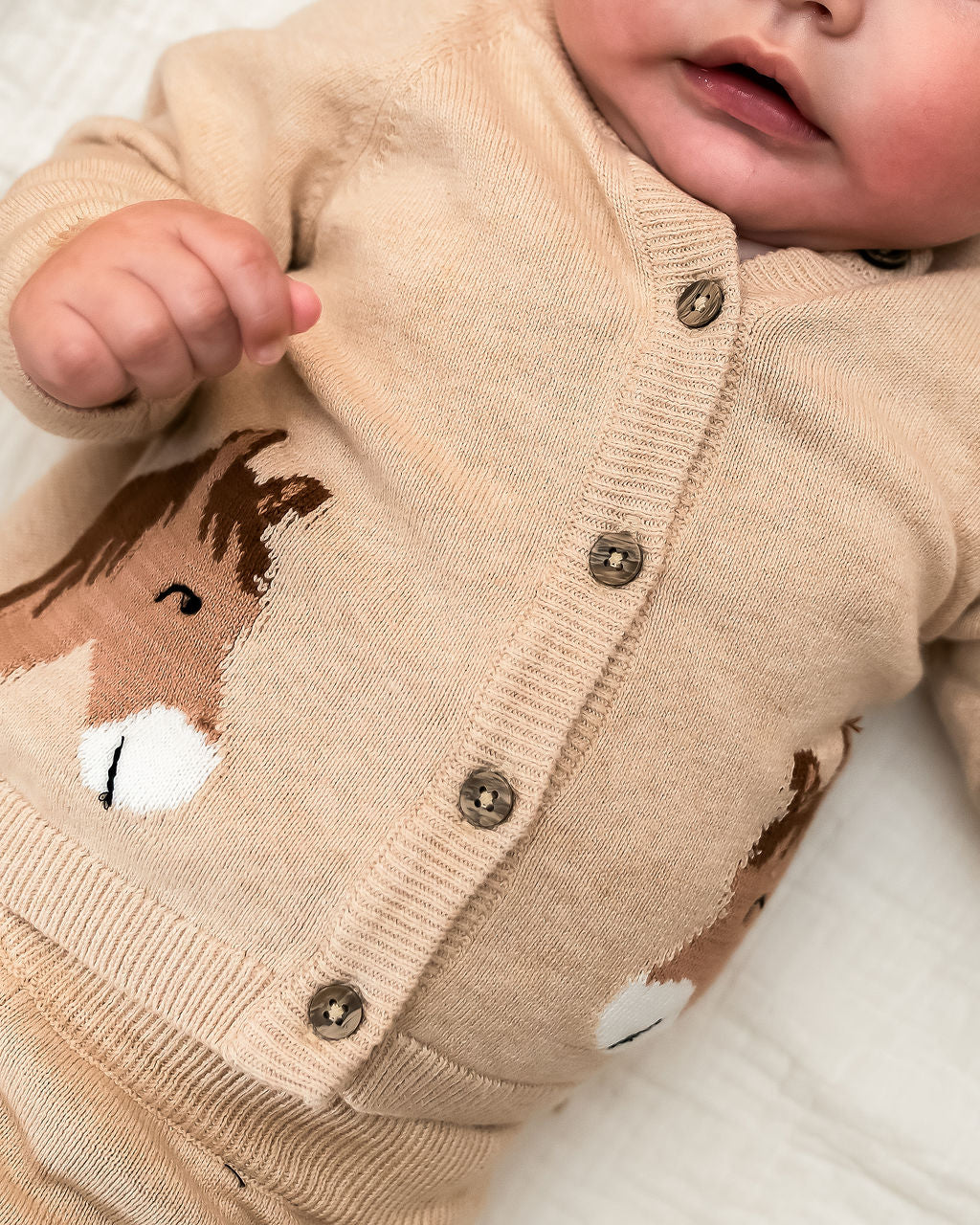 Horse Jacquard Sweater Knit Baby Cardigan (Organic Cotton)