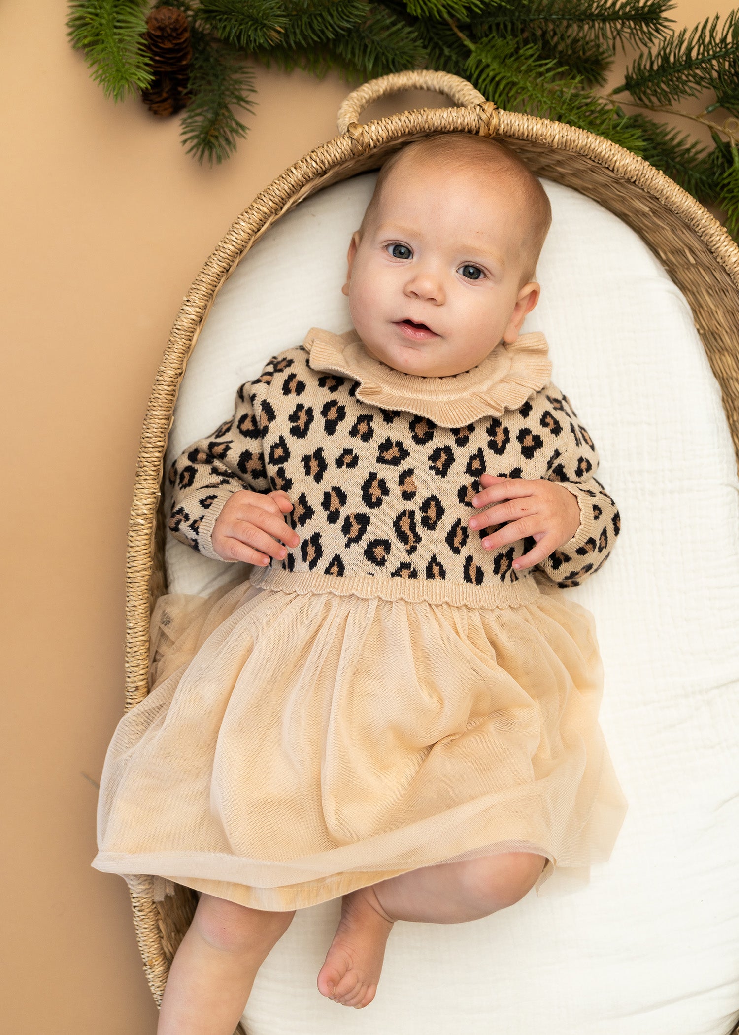 Leopard Jacquard Sweater Knit Baby Tutu Dress (Organic Cotton)