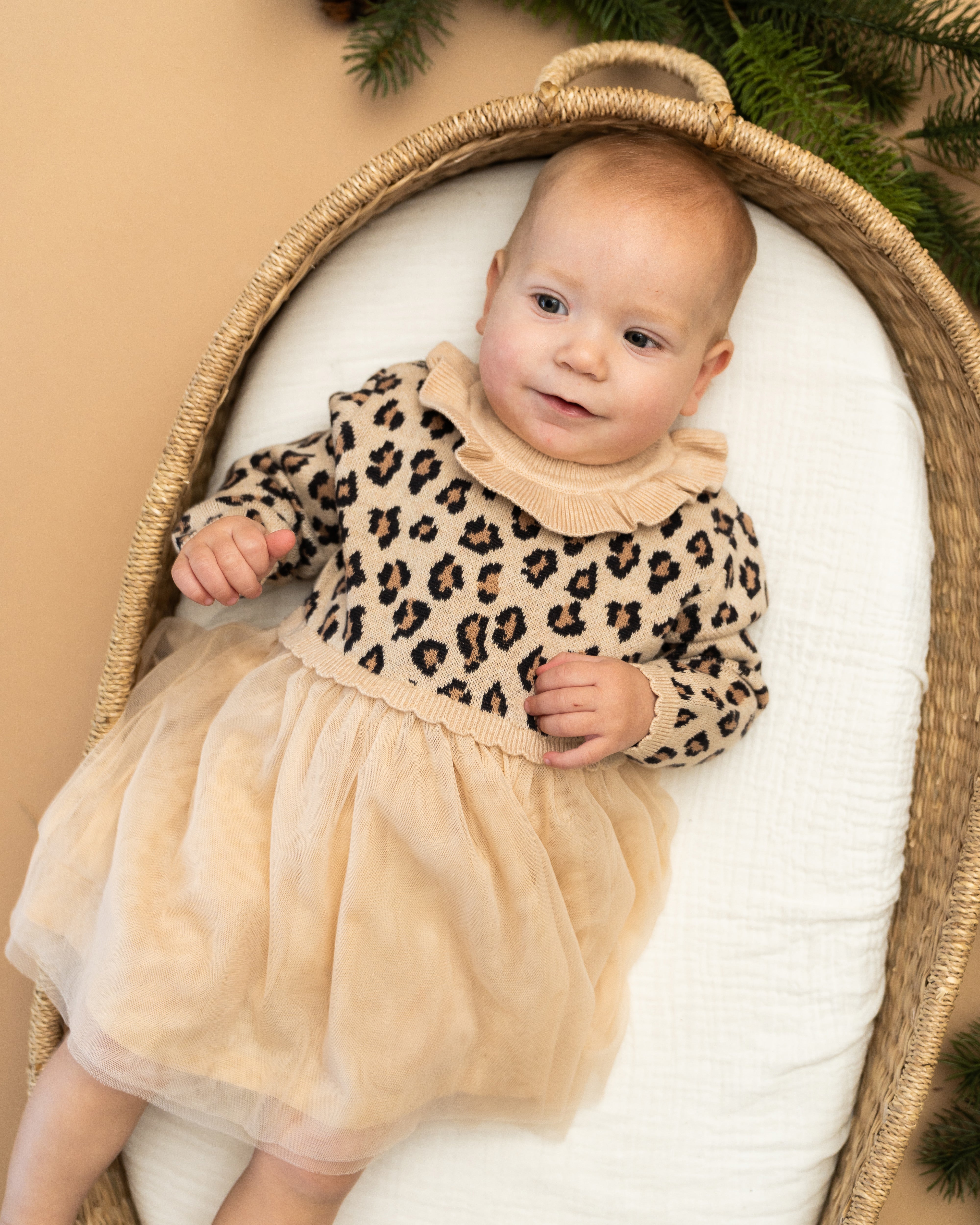 Leopard Jacquard Sweater Knit Baby Tutu Dress (Organic Cotton)