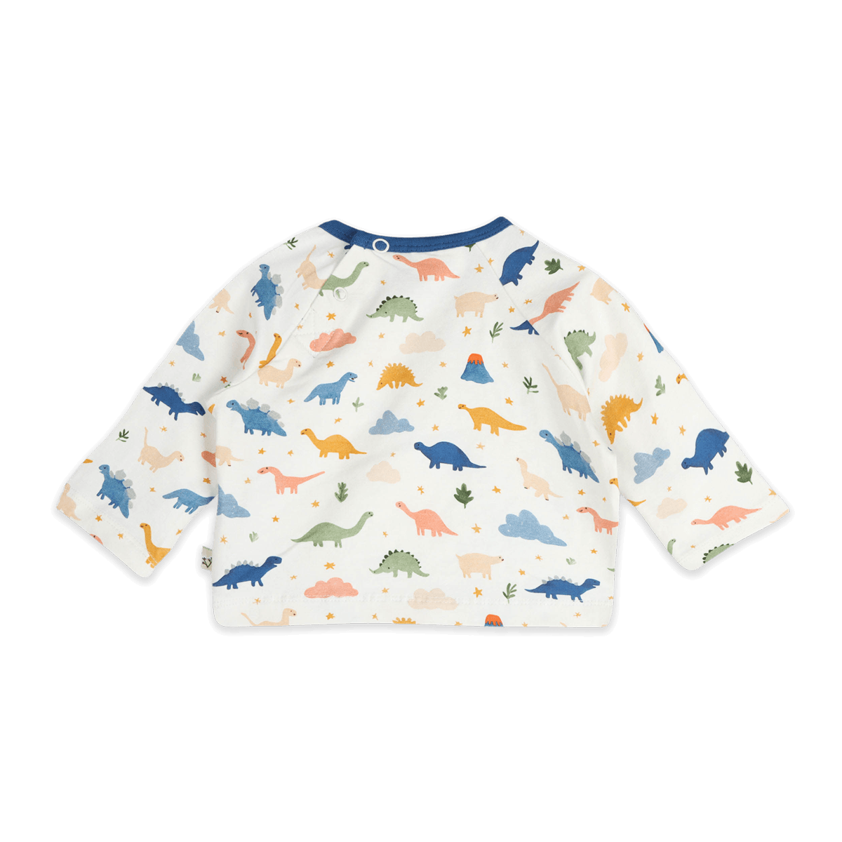 Dino Baby Tee & Jogger (Organic Jersey) - Back