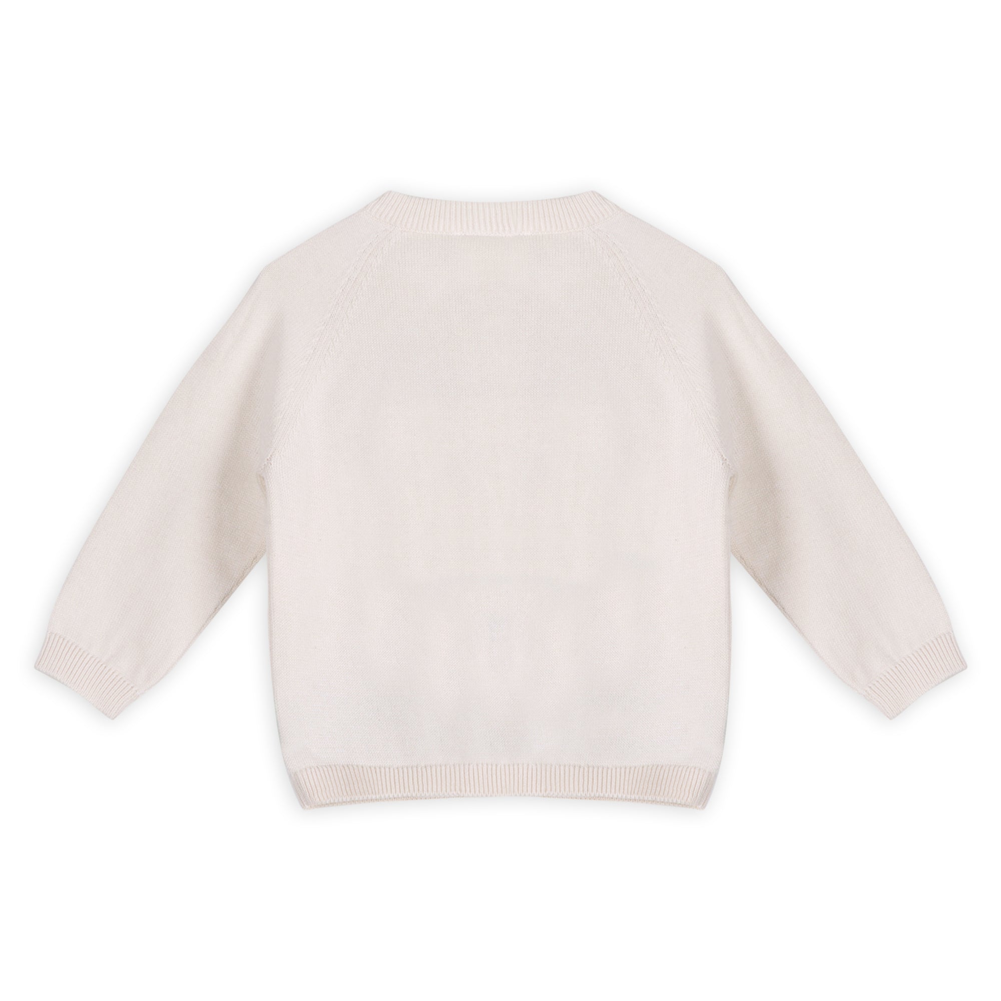 Dino Jacquard Baby Knit Pullover Back (Organic Cotton)