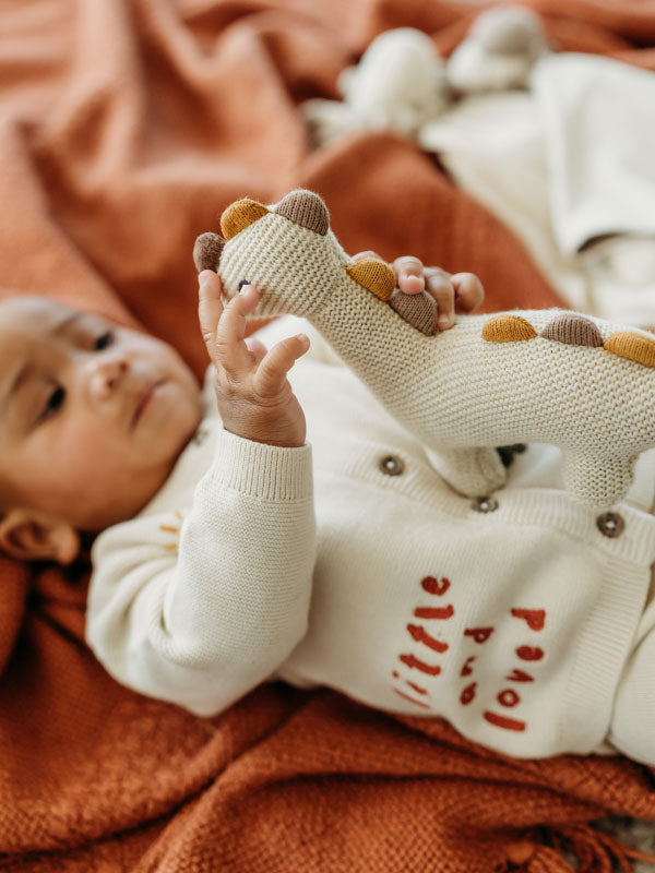 Little Dino - Organic Knit Stuffed Animal Baby Toy at play