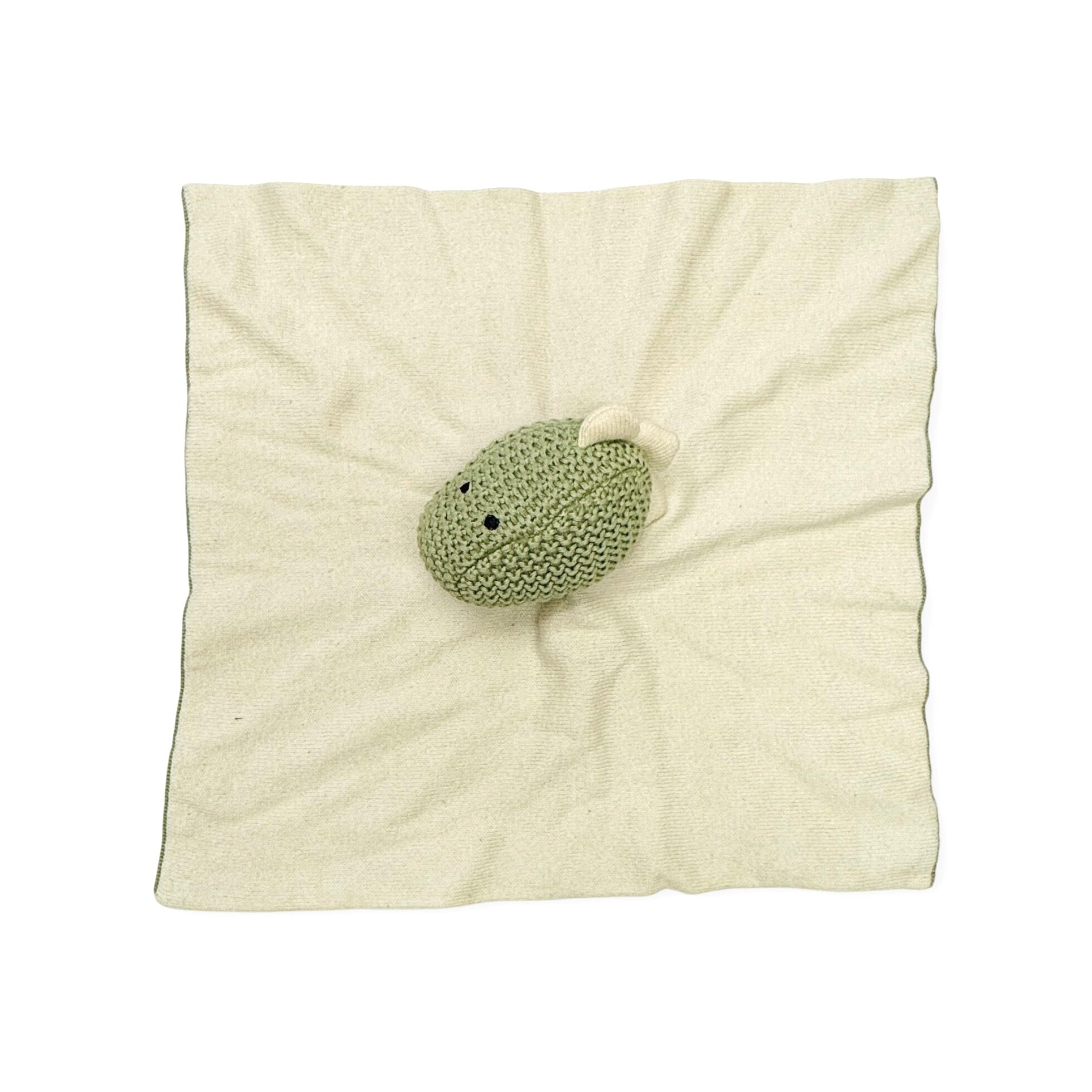 Dinosaur - Organic Baby Lovey Security Blanket Texture