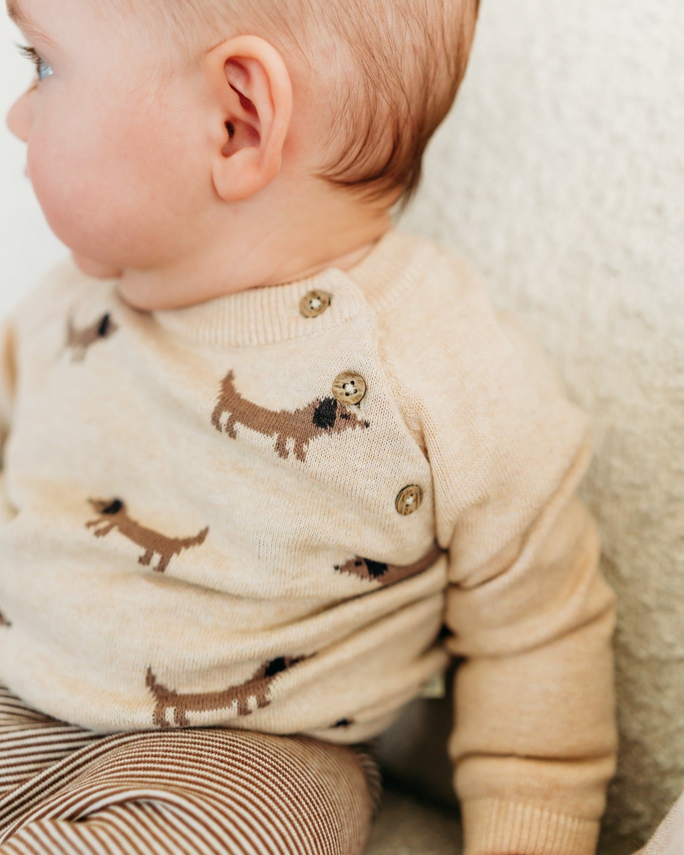 Doxie Dog Jacquard Knit Baby Raglan Pullover Sweater (Organic Cotton)