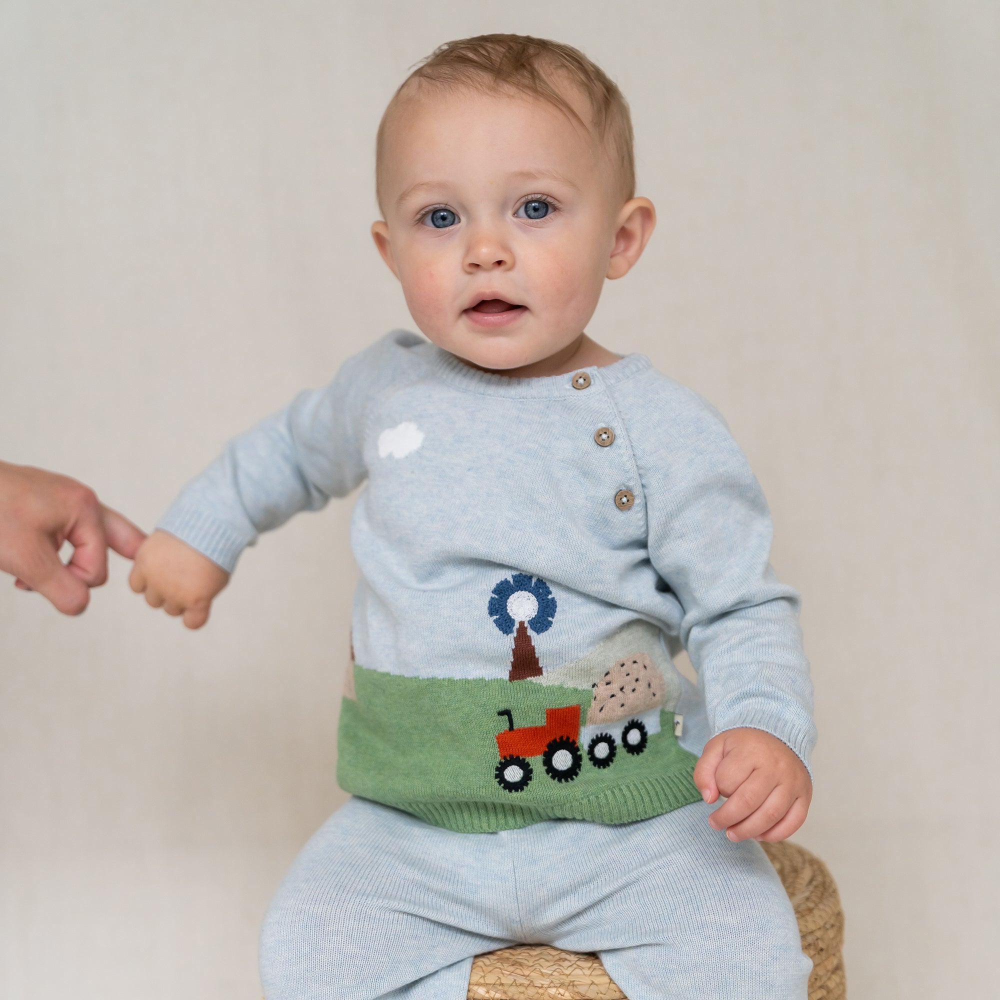 Farm Jacquard Knit Baby Pullover (Organic Cotton)