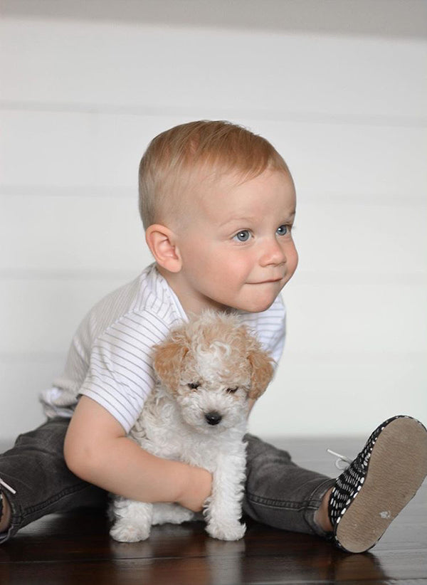 Viverano Venice Organic Cotton Short Sleeve T-Shirt for Babies - 2 Pack