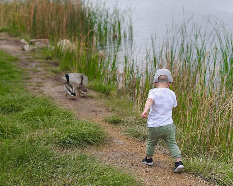 Viverano Venice Organic Cotton Short Sleeve T-Shirt for Babies