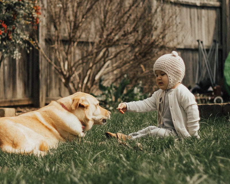 Dove White Viverano Organic Cotton Knit Button Cardigan Sweater for Babies, Model Playing Outside