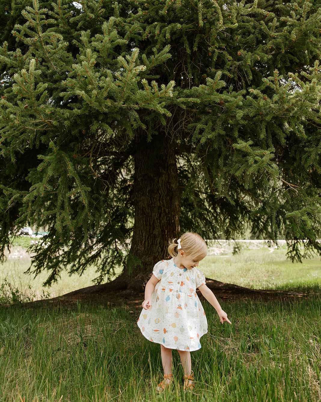 Veggie Puff Sleeve Dress + Bloomer (Organic Muslin) - Viverano