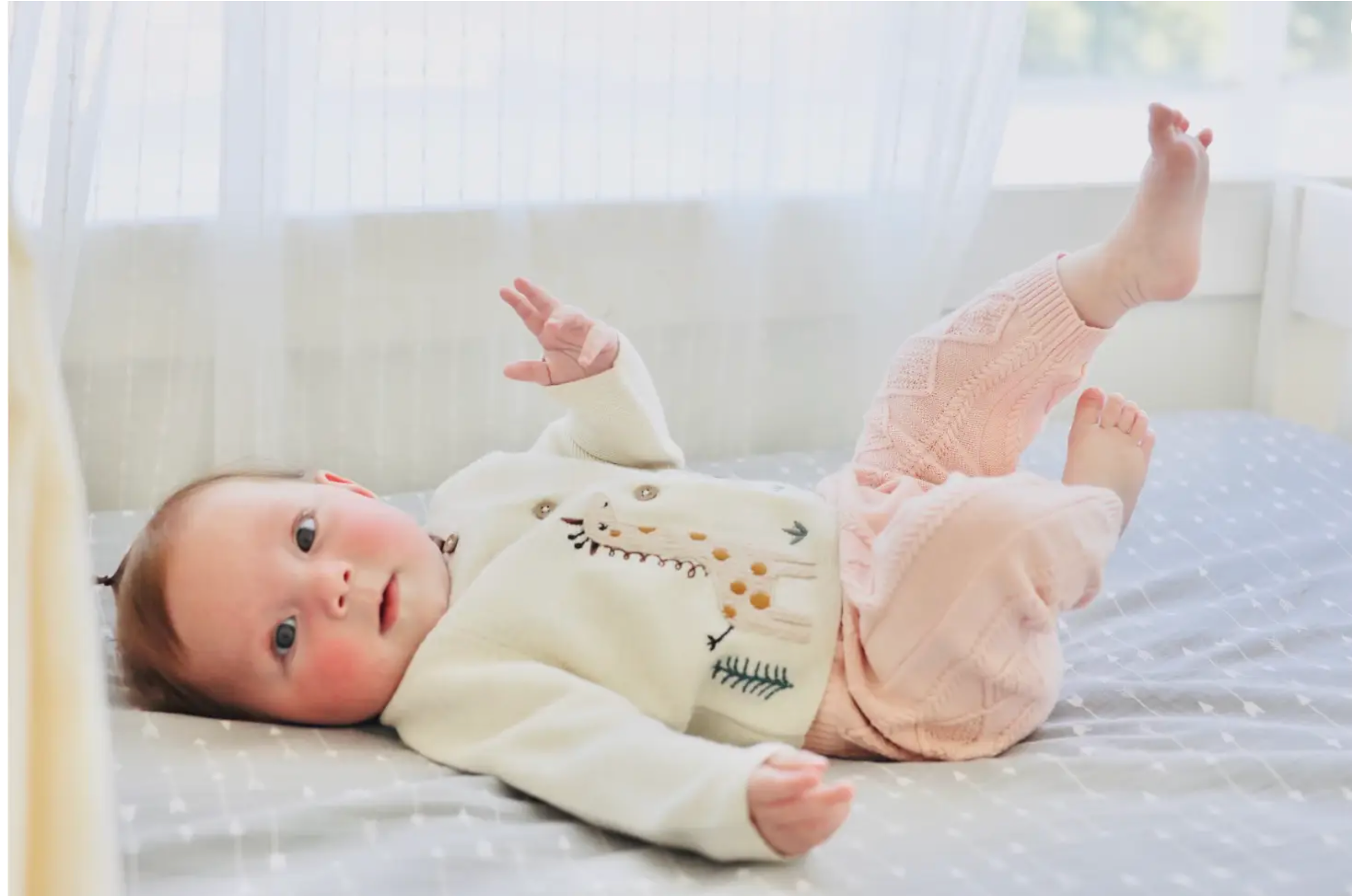 Animal Safari Embroidered Baby Cardigan Sweater (Organic) by Viverano OrganicsAnimal Safari Embroidered Baby Cardigan Sweater (Organic) - 3 Colors