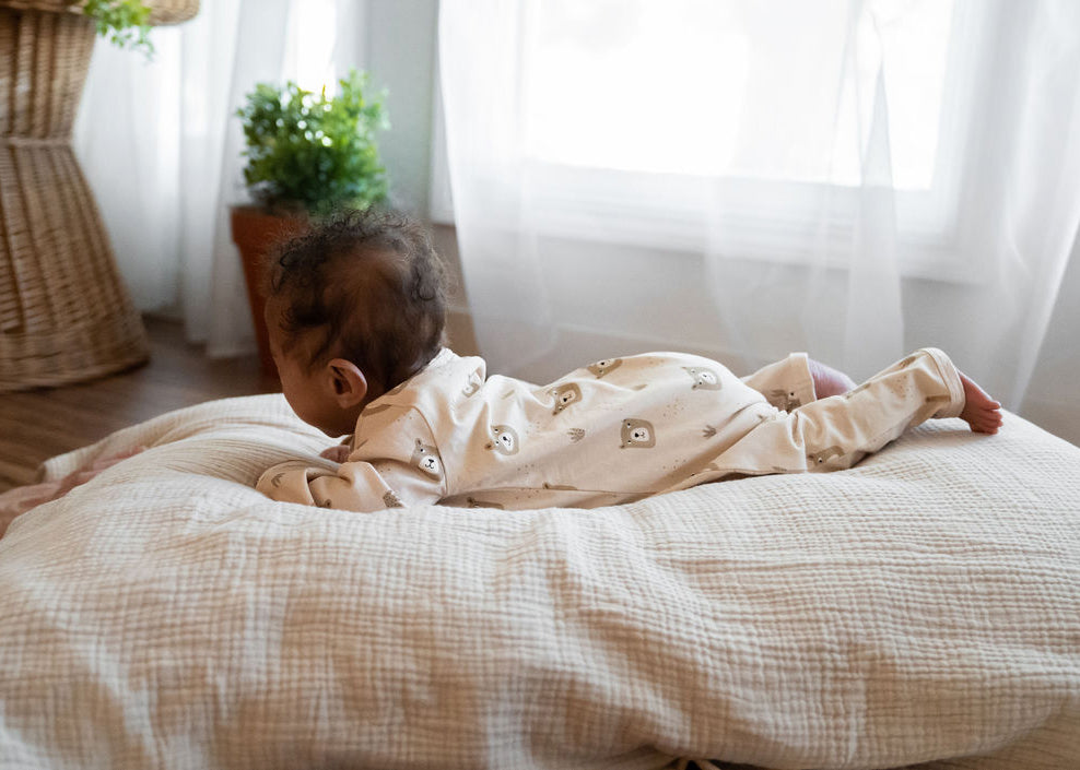 Bear Zipper Baby Jumpsuit (Organic Jersey) by Viverano Organics