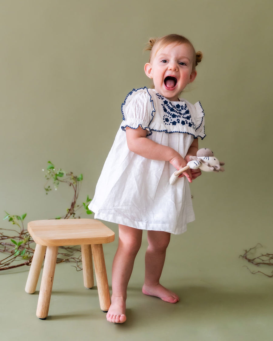Elegant Fashion Embroidered Baby Dress and Bloomer Set - Silver main image 1