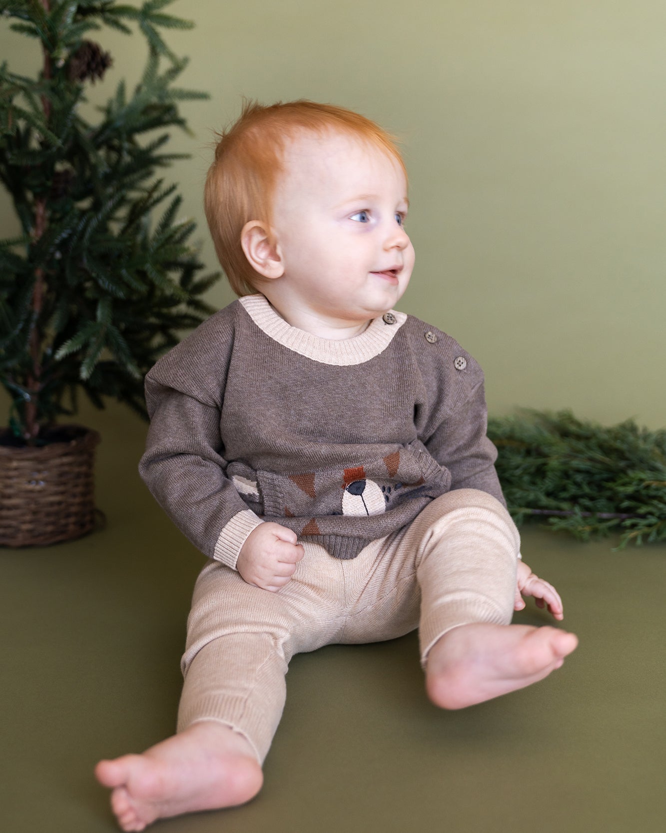 Tiger Kangaroo Pocket Baby Knit Pullover & Pant Set (Organic Cotton)