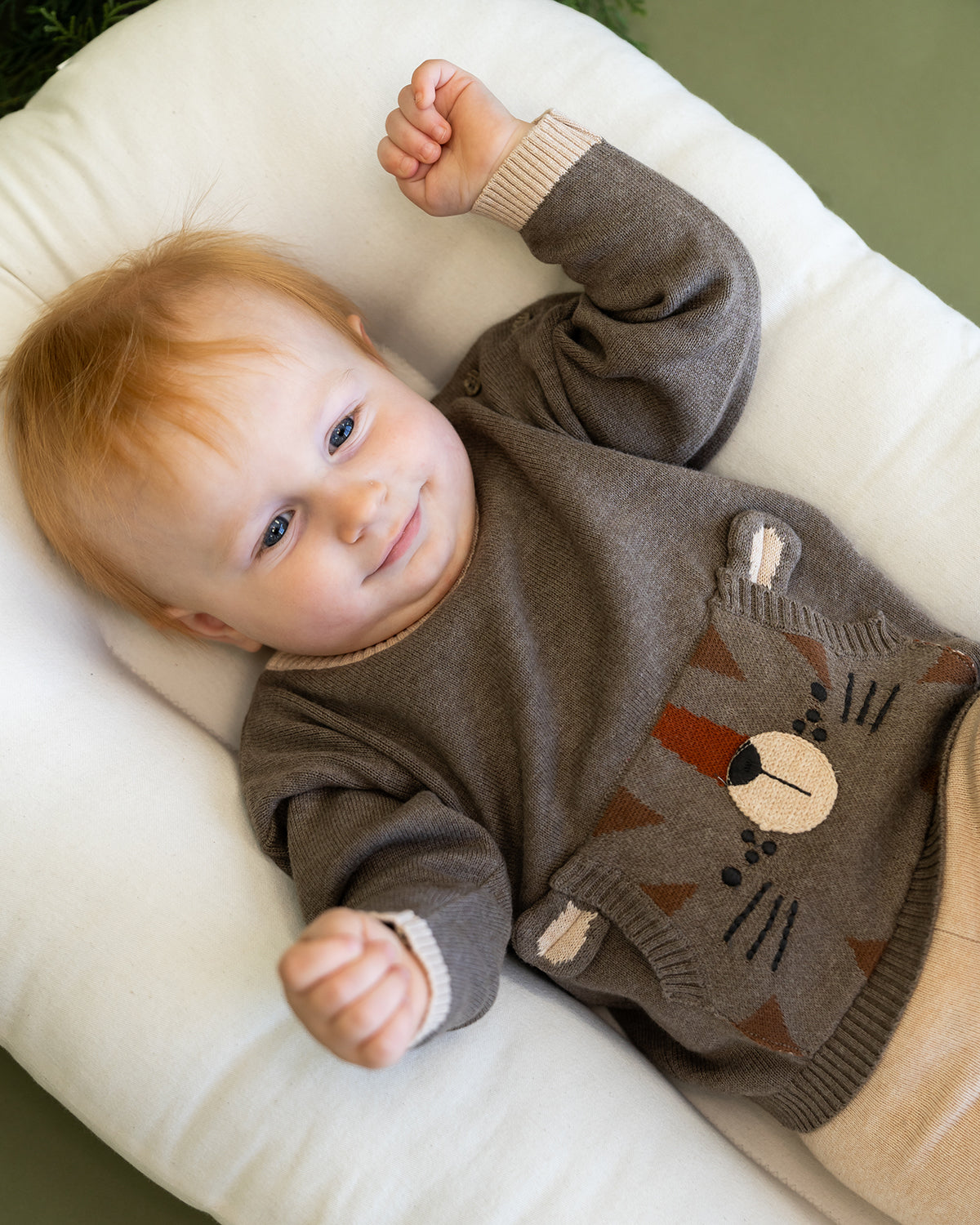 Tiger Kangaroo Pocket Baby Knit Pullover & Pant Set (Organic Cotton)