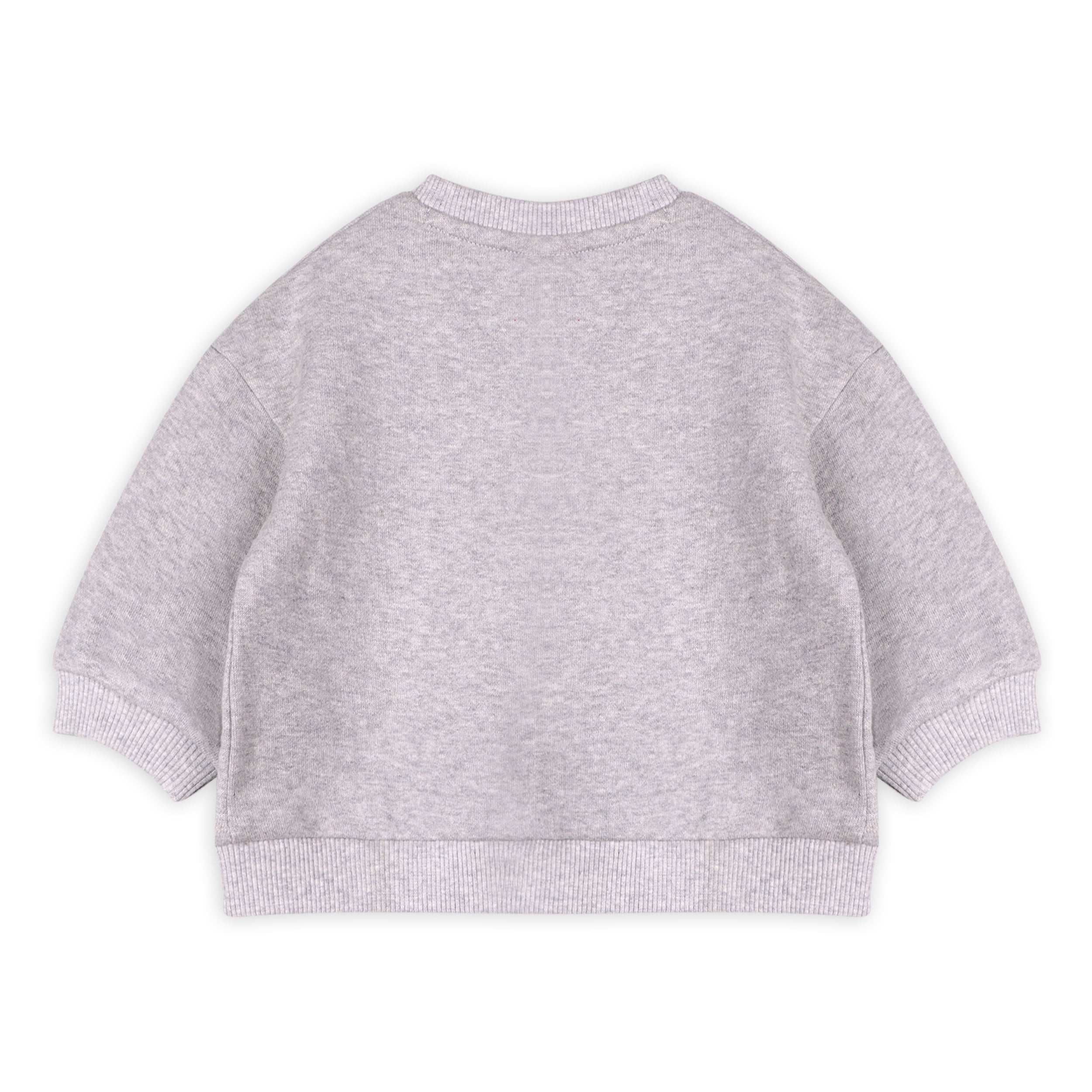 Dino Baby Sweatshirt & Jogger Set (Organic Cotton)