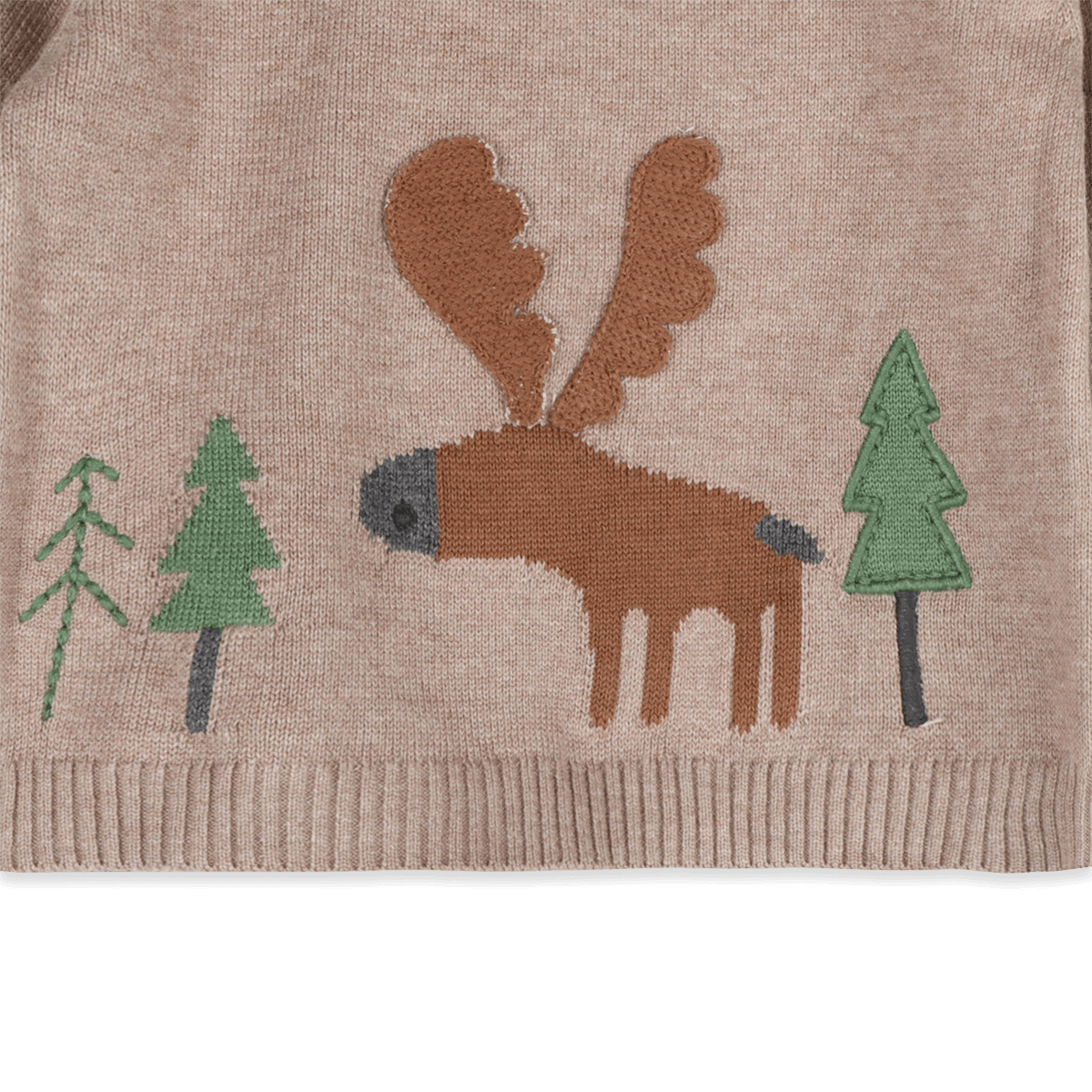 Organic Cotton Moose Woods Knit Baby Pullover, Embroidery Detail