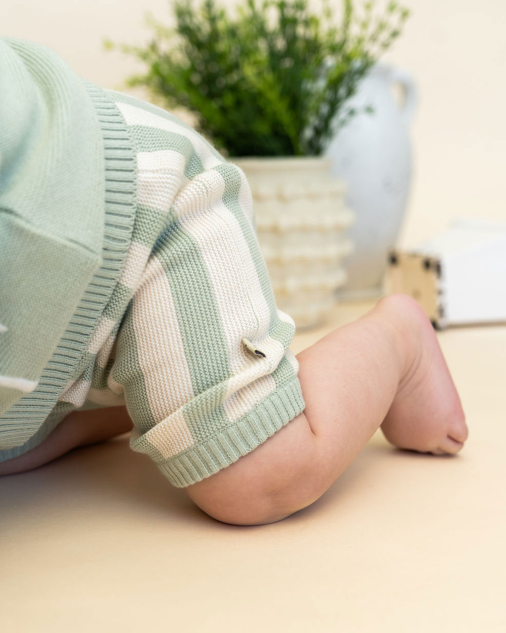 Palm Trees Embroidered Baby Sweater Shirt & Shorts Set (Organic Cotton) Model Movement