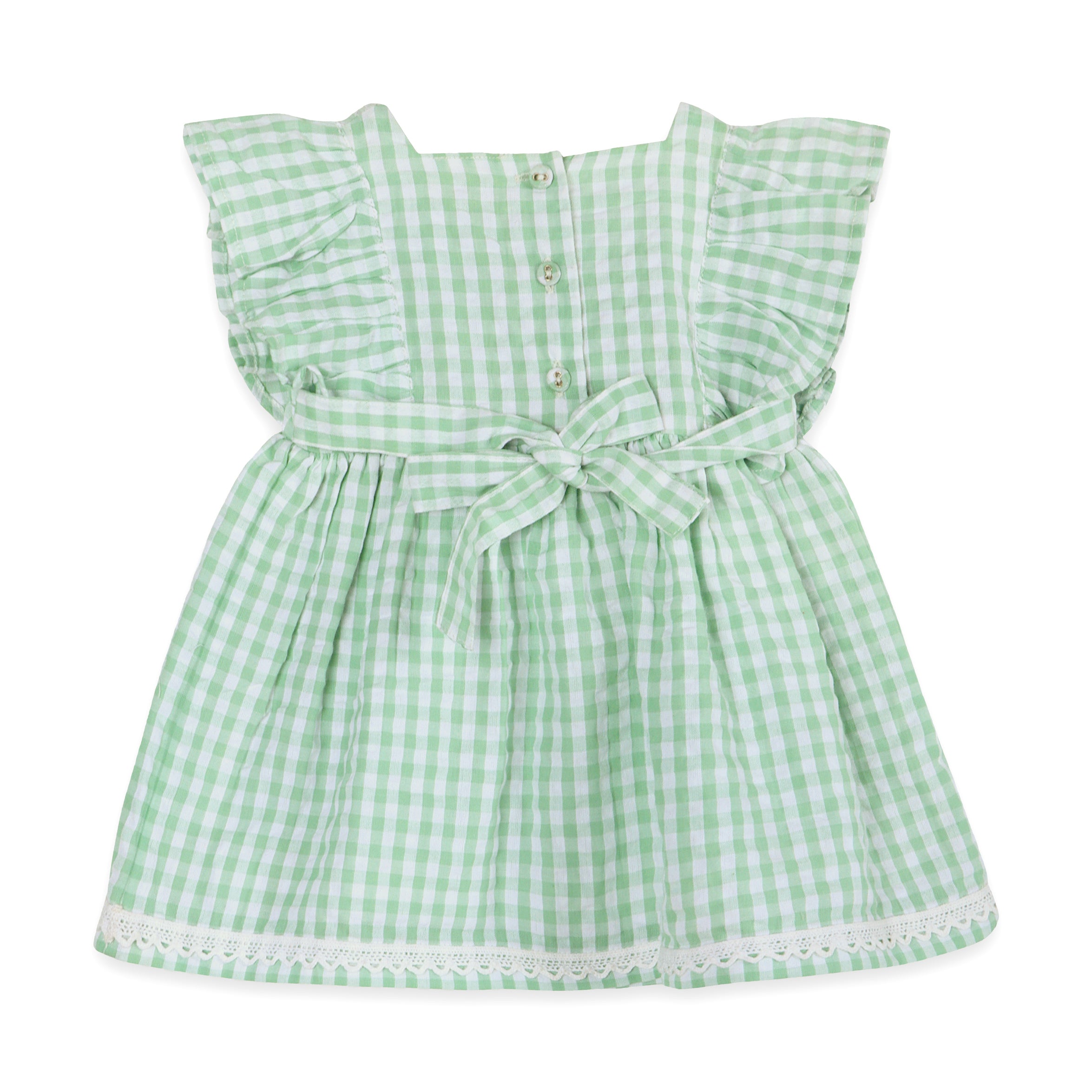 Forest Gingham Baby Dress Back (Organic)