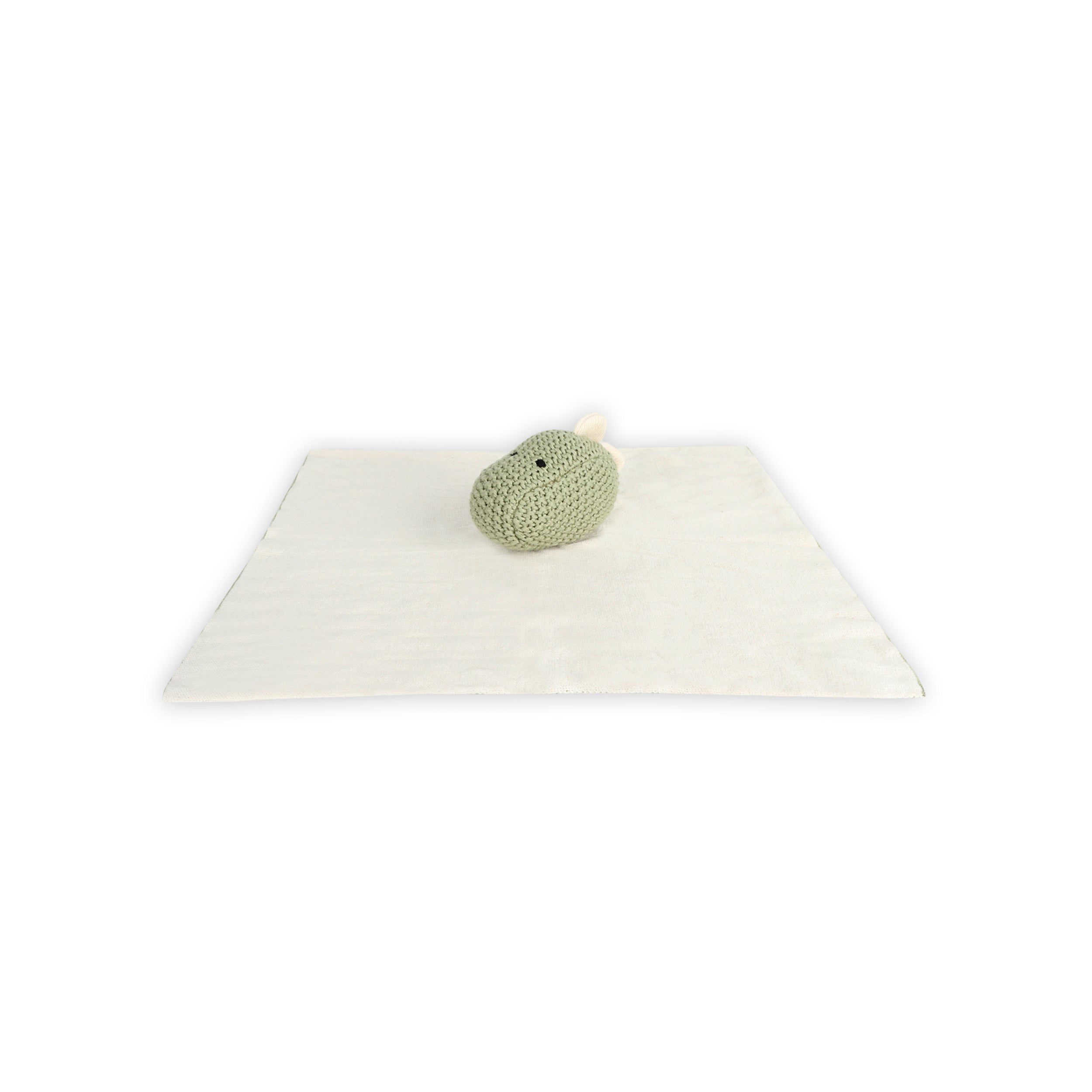 Dinosaur - Organic Baby Lovey Security Blanket Flat