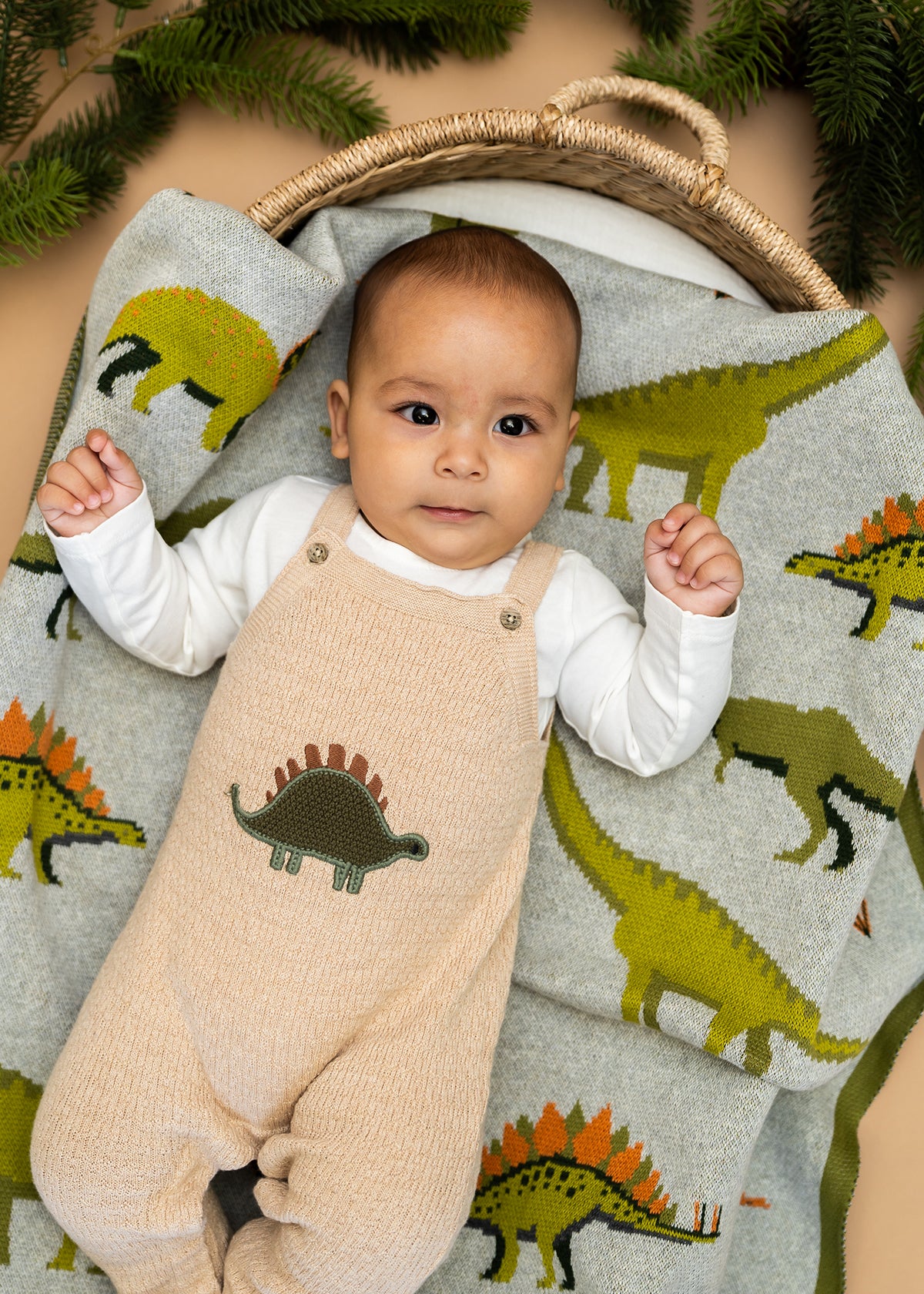 777051-Dino-organic-baby-