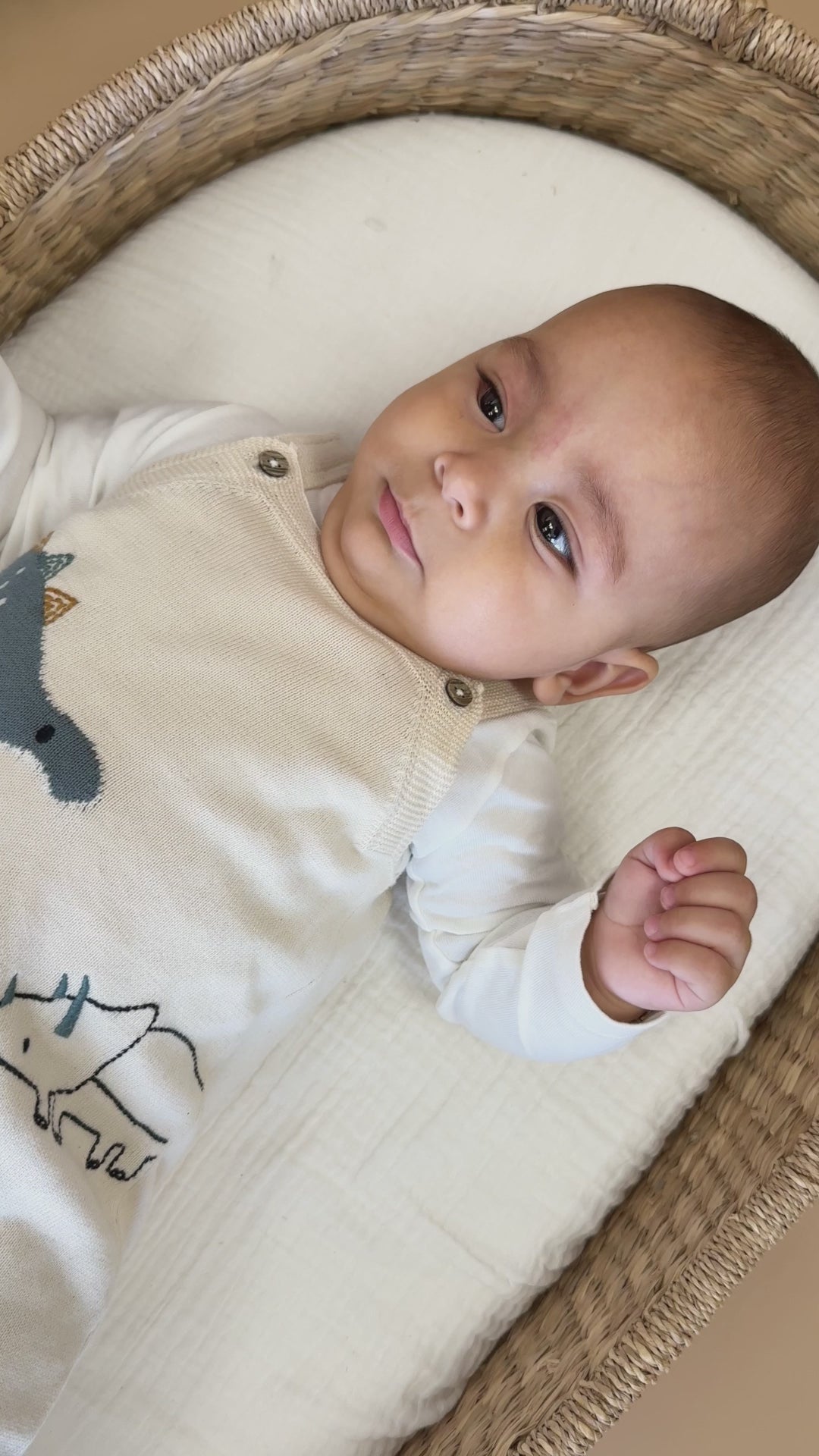 Dino Jacquard Knit Baby Overall Set (Organic)