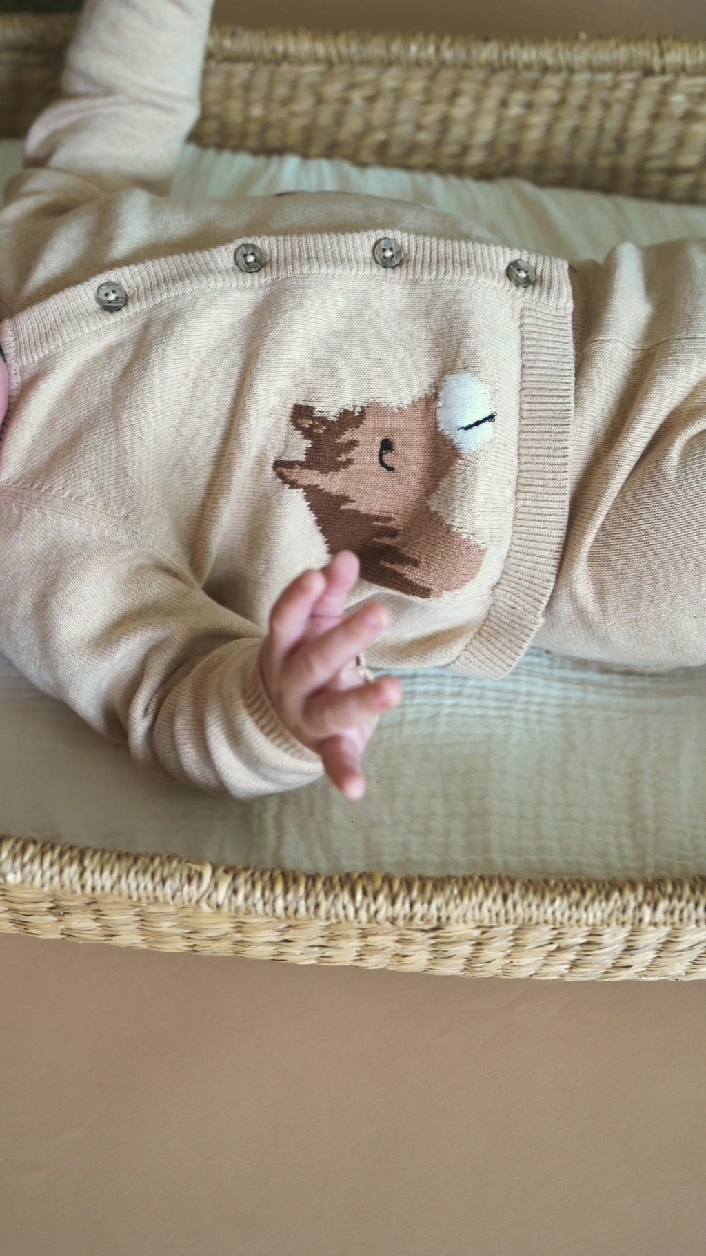 Horse Jacquard Knit Organic Baby Cardigan
