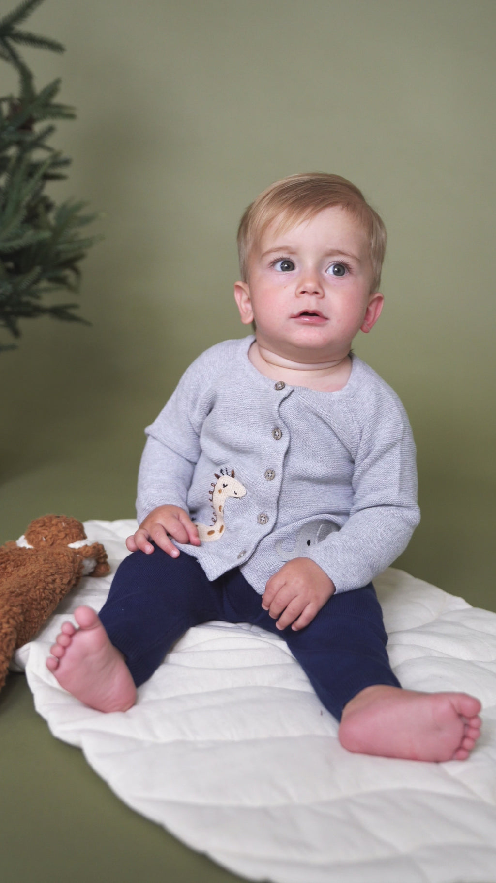 Animal Safari Embroidered Organic Baby Cardigan Sweater - Heather Grey