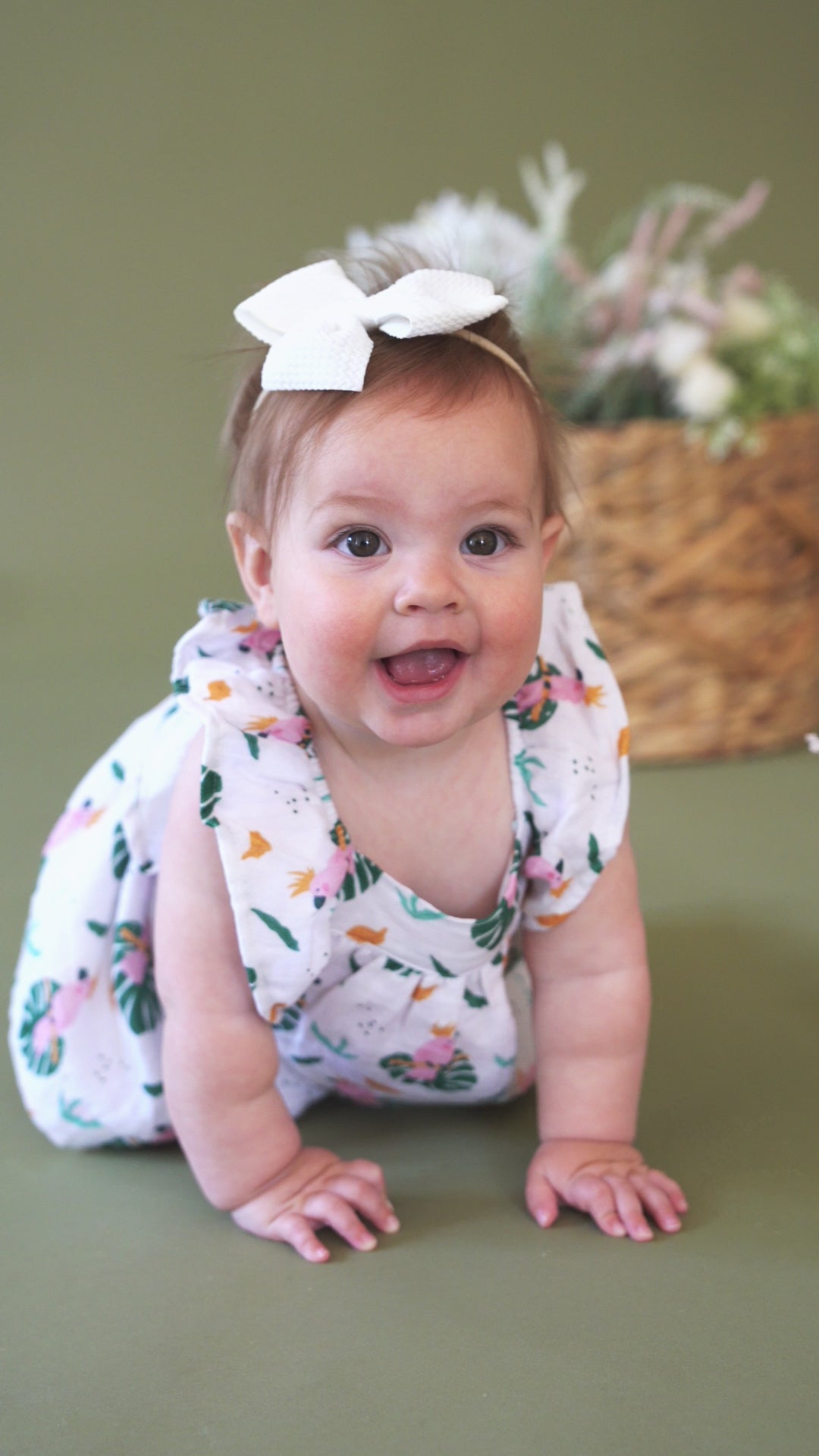 Parrot Ruffle Sleeve Baby Dress + Bloomer Set (Organic Muslin)