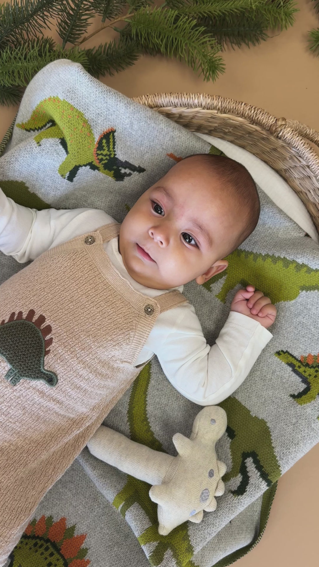 Dino Embroidered Baby Knit Overall Set (Organic Cotton)