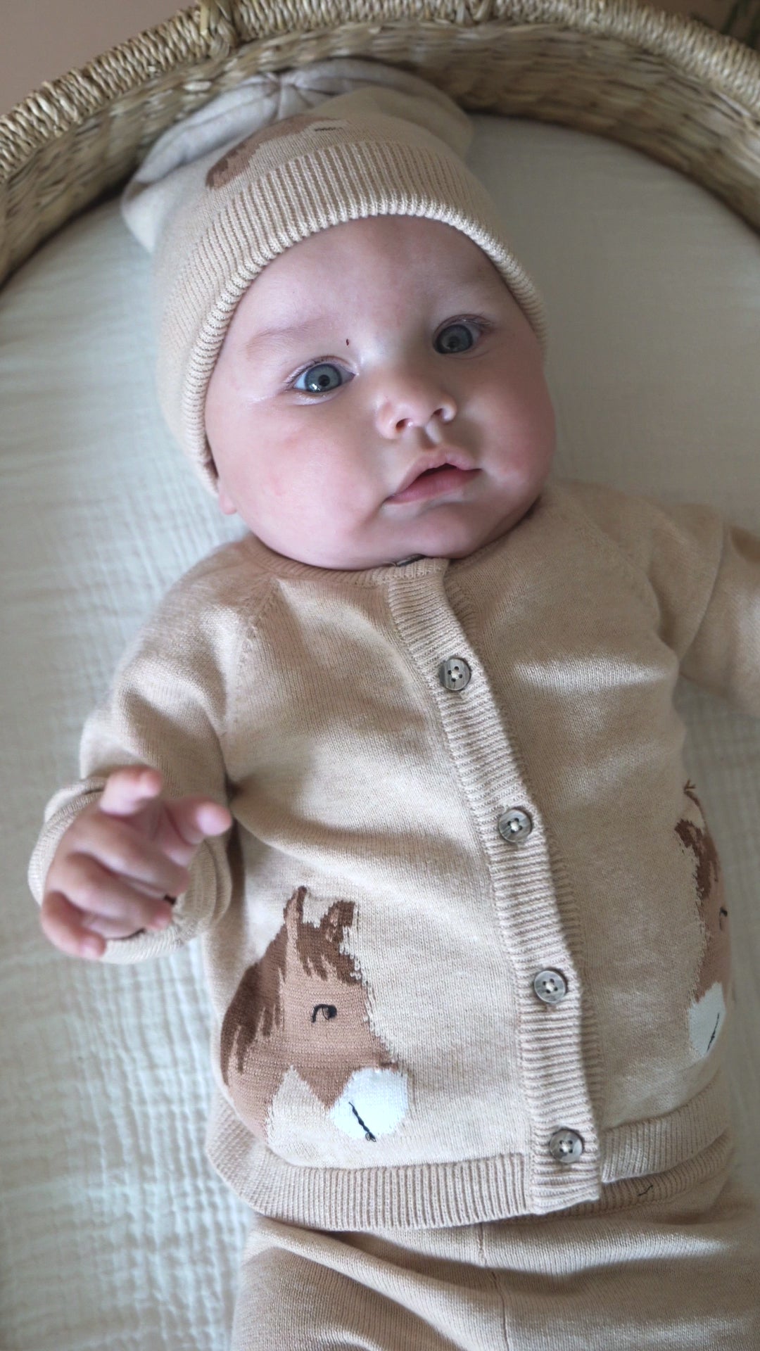 Horse Jacquard Knit Organic Baby Cardigan