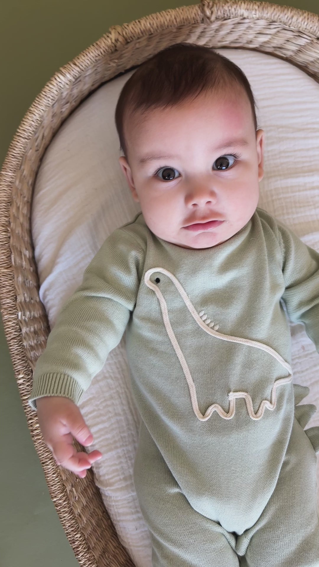 Dino Embroidered Baby Knit Jumpsuit (Organic Cotton)