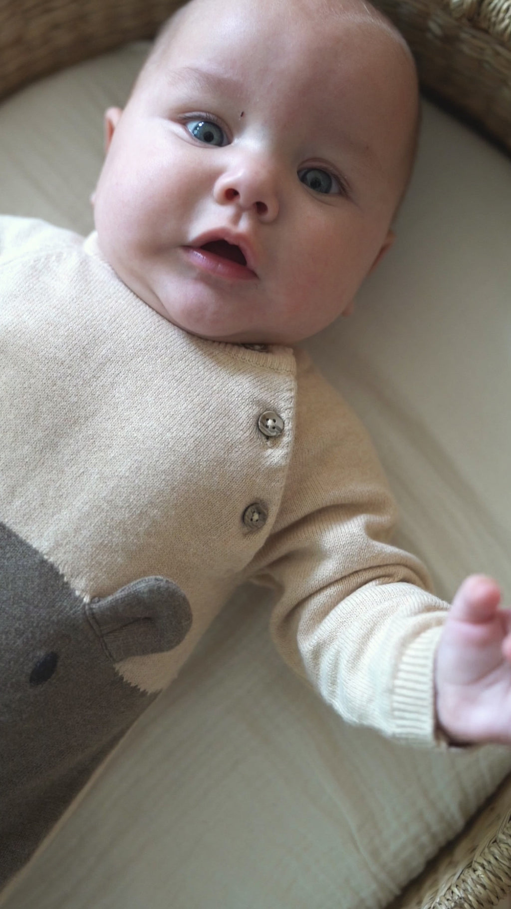 Cuddly Bear Embroidered Sweater Knit Baby Jumpsuit (Organic Cotton)