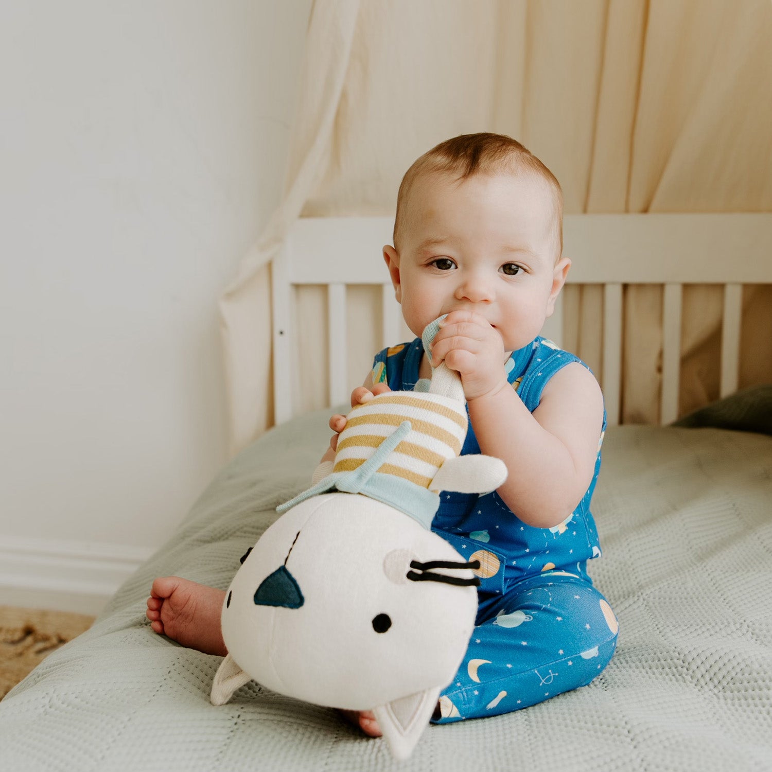 Remi Cat Organic Cotton Fine Knit Stuffed Animal Baby Toy (3 Colors)