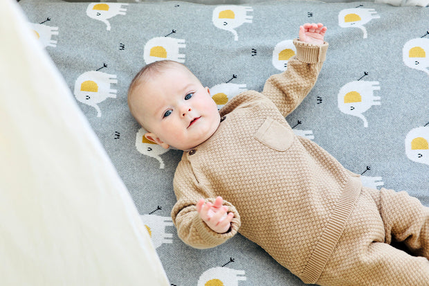 Elephant Jacquard Knit Baby Blanket & Lovey SET (Organic)